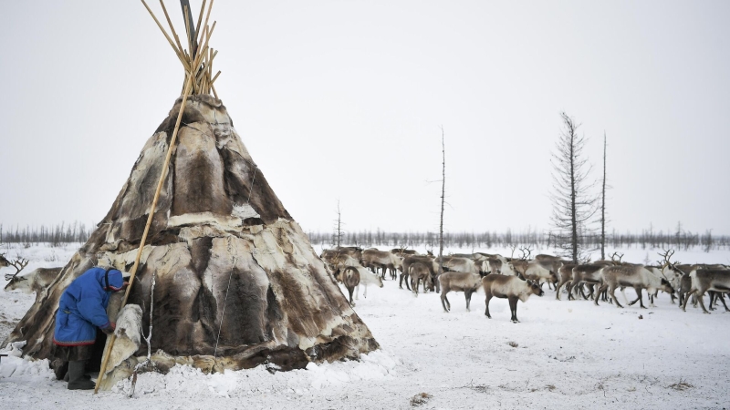 Правительство утвердило план развития коренных народов Севера