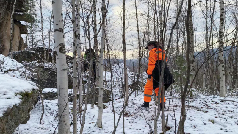 Пропавшие в тайге Усольцевы не состояли в сектах