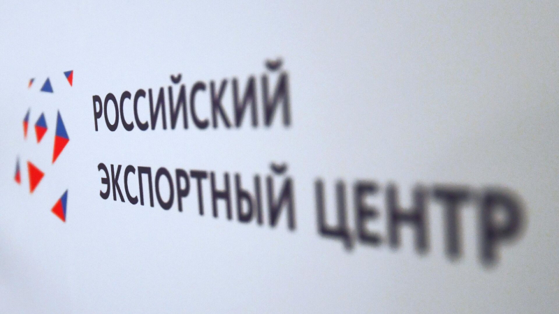 РЭЦ подсказал экспортерам, как избежать ошибок при поиске партнеров