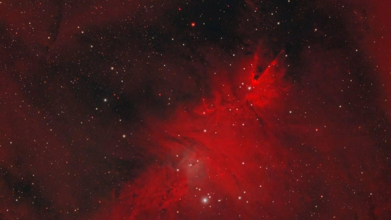 "Роскосмос" в канун Рождества показал космическую елку