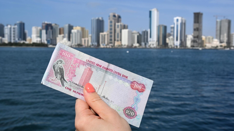 Россиянам объяснили, для кого предназначен &ldquo;новый доллар&rdquo;