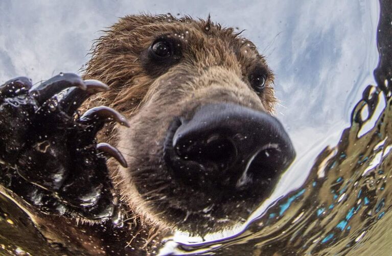 Россиянин, получивший "Оскар" в мире фотографии, рассказал про лучшие кадры