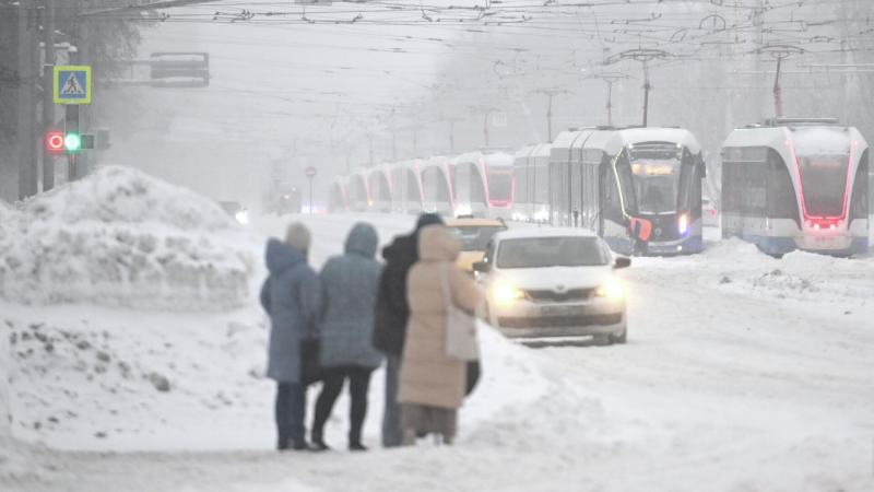 Синоптик рассказал, когда ожидается пик снегопадов в Москве