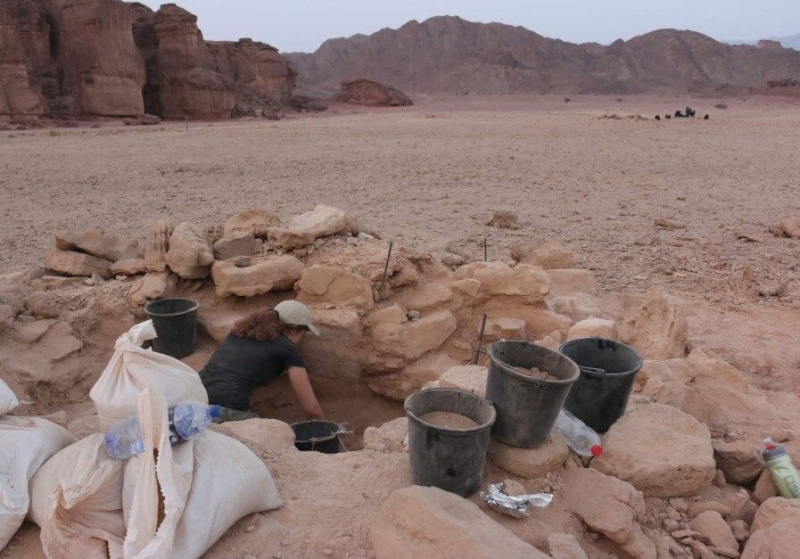 "Точно утверждать нельзя". Какую загадку оставил библейский царь Давид