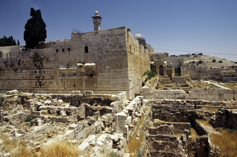 "Точно утверждать нельзя". Какую загадку оставил библейский царь Давид