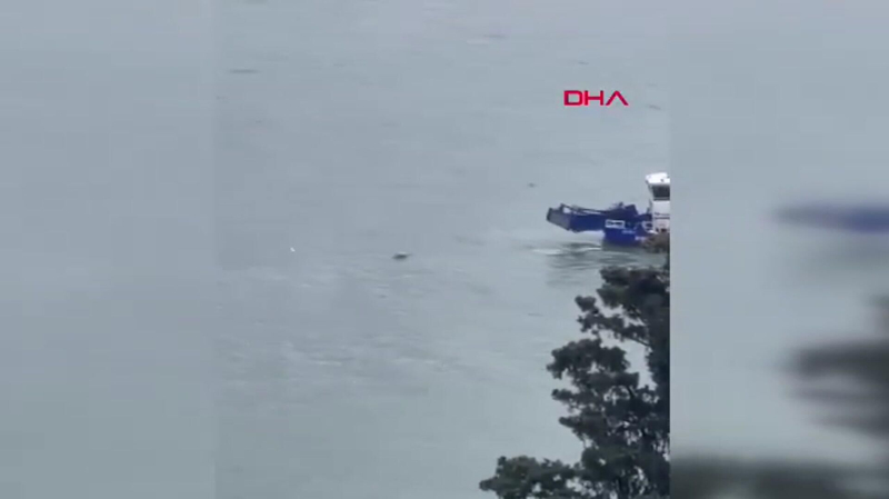 Трагический конец: тело пловца из России нашли после пяти месяцев поисков