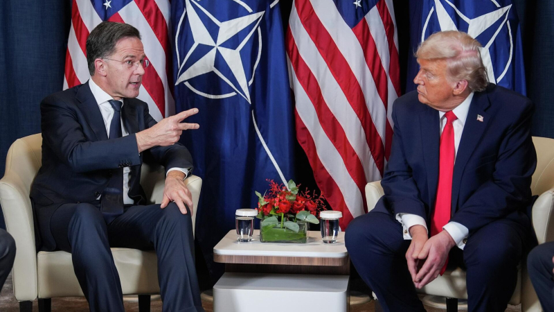 Трамп и Рютте достигли устного взаимопонимания по Гренландии, сообщили СМИ