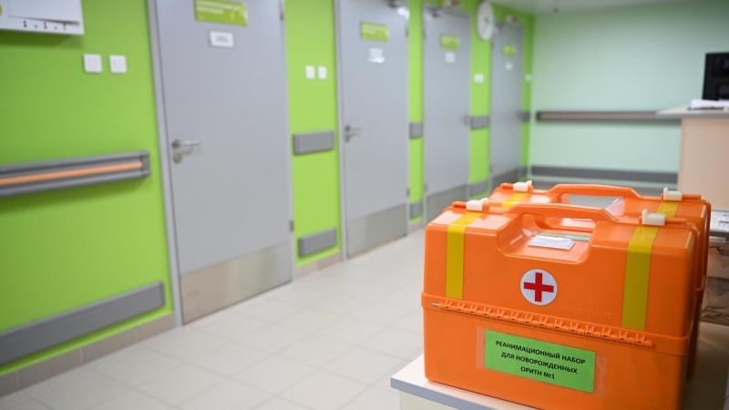 В Госдуме попросили проверить условия в роддомах на отдаленных территориях