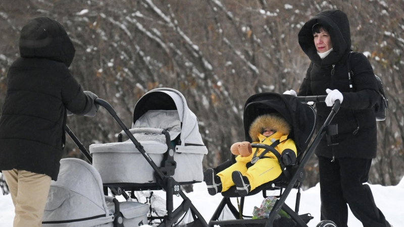 В Госдуме предложили включить декретный отпуск в отработку для целевиков