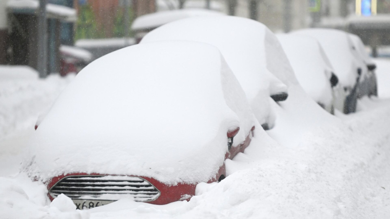 В Госдуме рассказали, при какой погоде работодатель не поставит прогул
