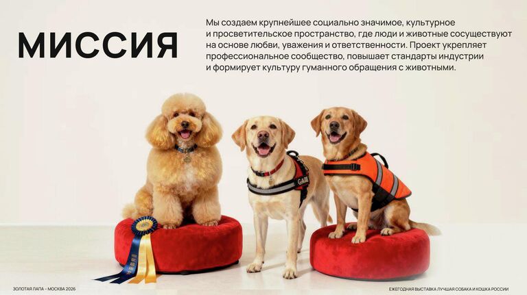 В Москве пройдет выставка "Лучшие собаки и кошки России"