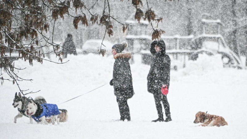 В Москве прошел рекордный за последние 56 лет снегопад