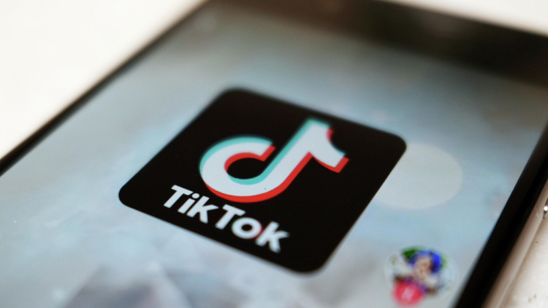 В МВД предупредили о мошенничестве с арендой аккаунтов в TikTok