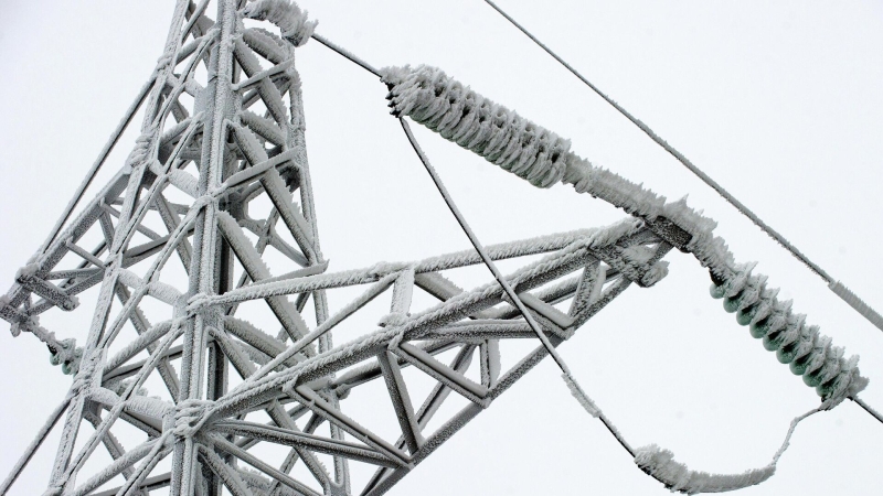 В Новгородской области жители деревни уже две недели остаются без света