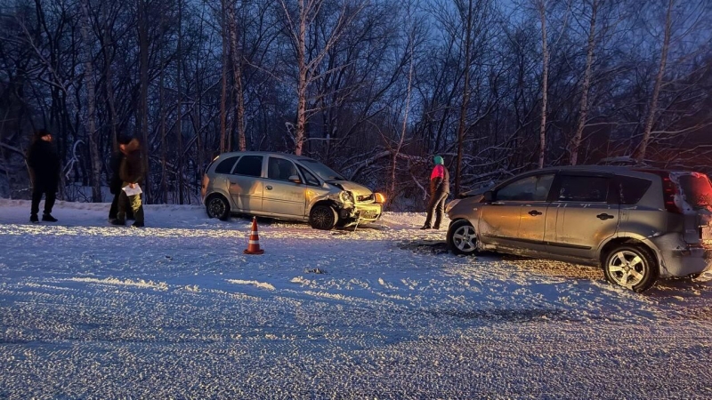 В Омской области четверо взрослых и двухлетняя девочка пострадали в ДТП