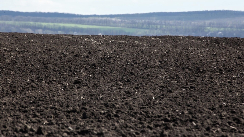 В России появится программа повышения плодородия почв