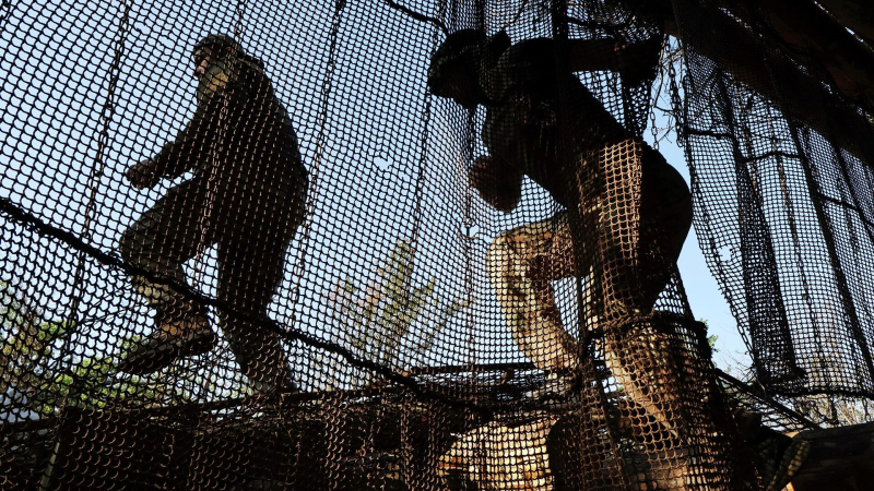 В Ровно сотрудники военкомата силой мобилизовали мужчину