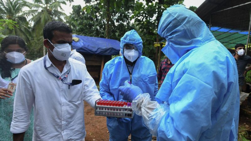 Вирусолог оценила риск для туристов заразиться вирусом Нипах