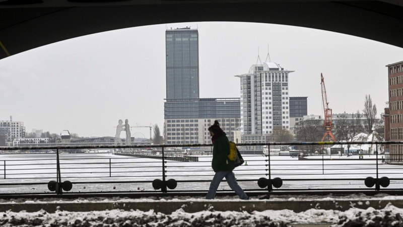 Володин дал совет жителям Германии