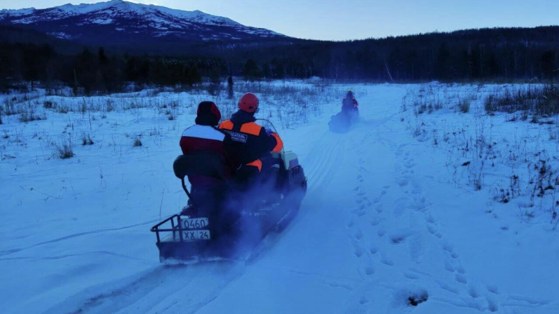 Волонтер рассказала о планах по поиску семьи Усольцевых в Красноярском крае