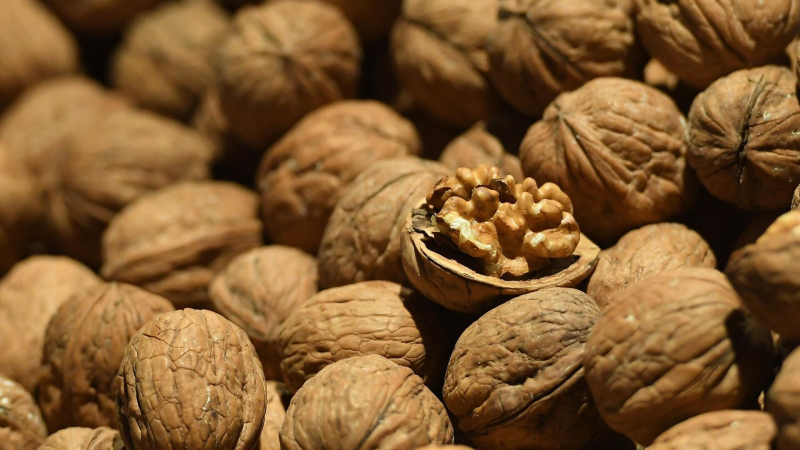 Врач назвала продукты, улучшающие работу мозга