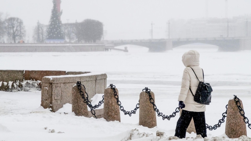 Жителям Петербурга рассказали о погоде на предстоящей неделе
