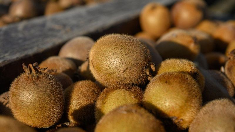 Аналитики сообщили, какие фрукты подешевели в феврале