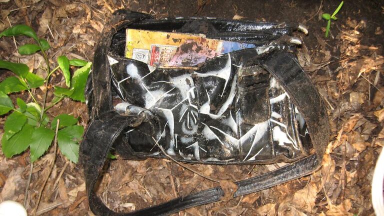 "Был очень тихим". Следователь раскрыл подробности охоты на маньяка