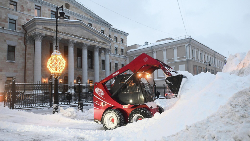 Экологи предупредили о нашествии насекомых из-за снегопадов в Москве