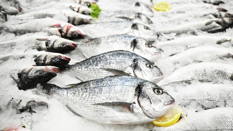 Эксперт назвал самую доступную рыбу в России