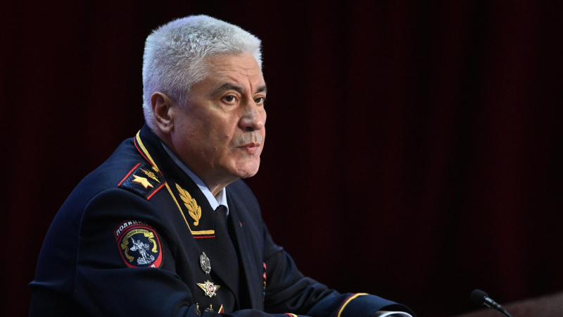 Глава МВД рассказал, сколько иностранцев выдворили из России в 2025 году