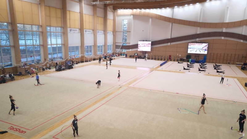 Итальянские и боснийские гимнастки проводят совместные сборы с россиянками