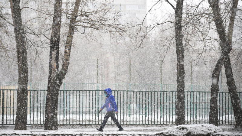 Январь 2026 года в России оказался аномально снежным и холодным