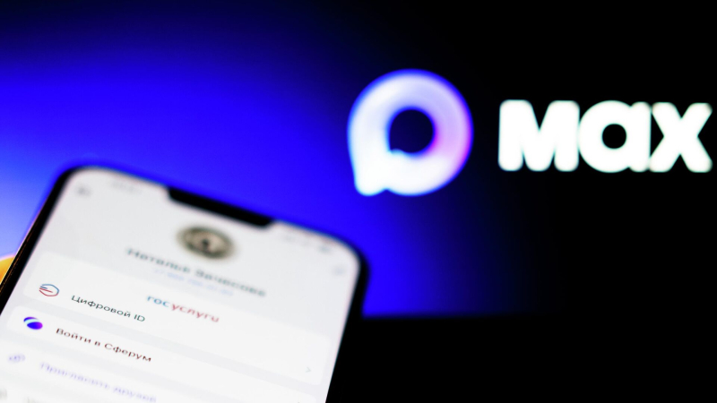 Красноярские многодетные семьи смогут подтверждать свой статус через MAX