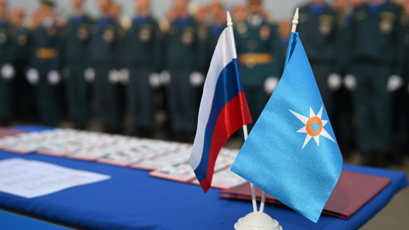 МЧС согласовало с Минобороны привлечение срочников к противопожарной службе