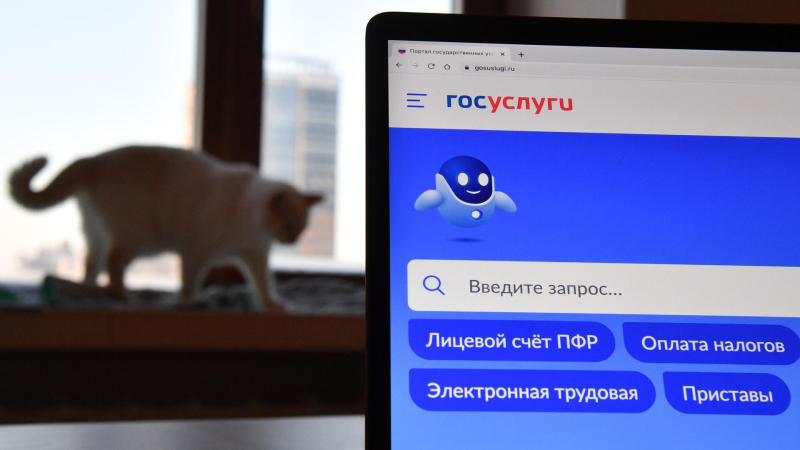 Мошенники используют новую схему получения доступа к "Госуслугам" россиян