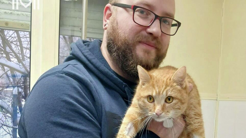 Московские ветеринары спасли кота, отравившегося антифризом