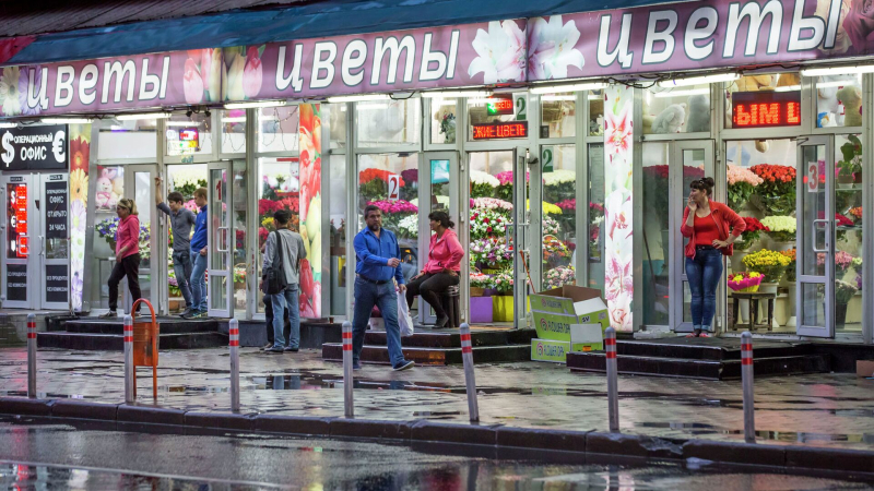 МВД предупредило о новых схемах мошенничества в преддверии праздников