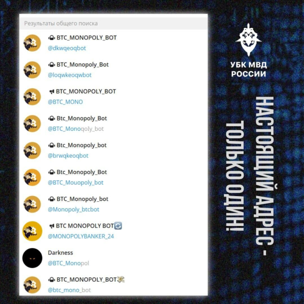 МВД рассказало о фишинговых доменных именах