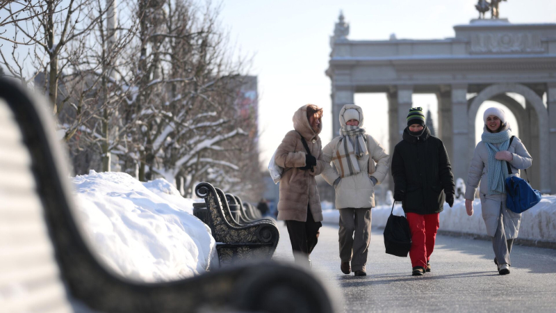 Начало февраля в Москве пройдет без мощных снегопадов, заявил синоптик