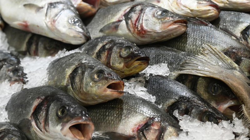Названа самая подешевевшая рыба в России по итогам 2025 года