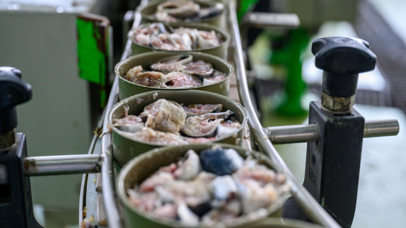 Названа самая популярная рыба для консервов в России