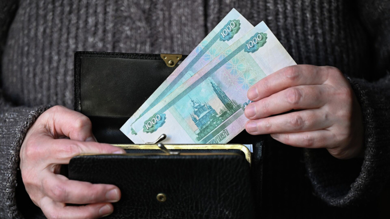 Названы товары, которые россияне чаще всего покупали на зимних распродажах