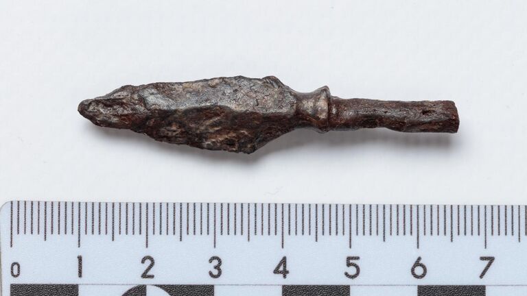 Незнакомая древность. Тульские археологи назвали свои главные открытия