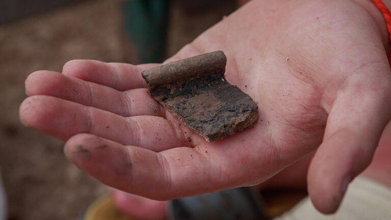 Незнакомая древность. Тульские археологи назвали свои главные открытия