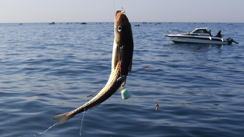 Нутрициолог назвала продукт, который помогает в борьбе со стрессом