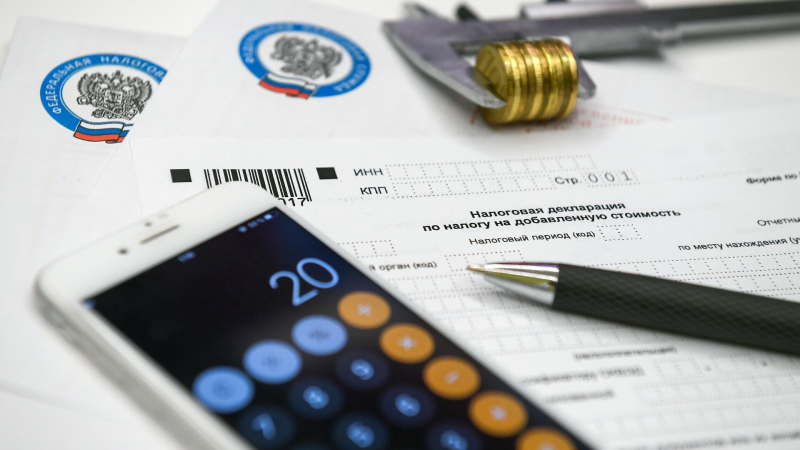 Общественники предложили сделать налоговый режим для самозанятых постоянным