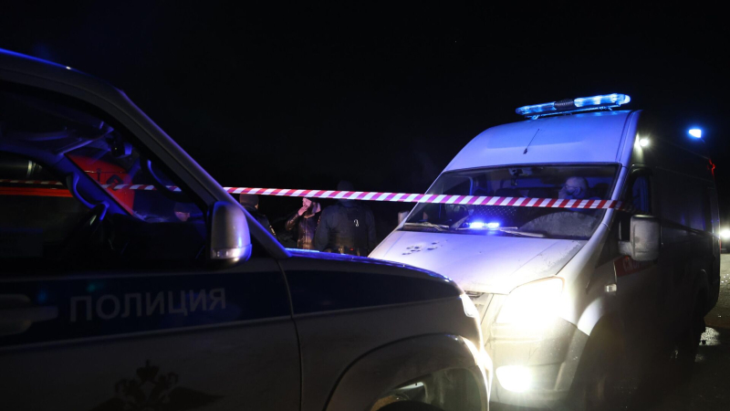 Омбудсмен: родителей убитого в Петербурге ребенка могут ограничить в правах