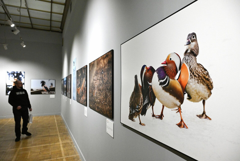 От кокошников до импрессионизма: самые яркие выставки февраля