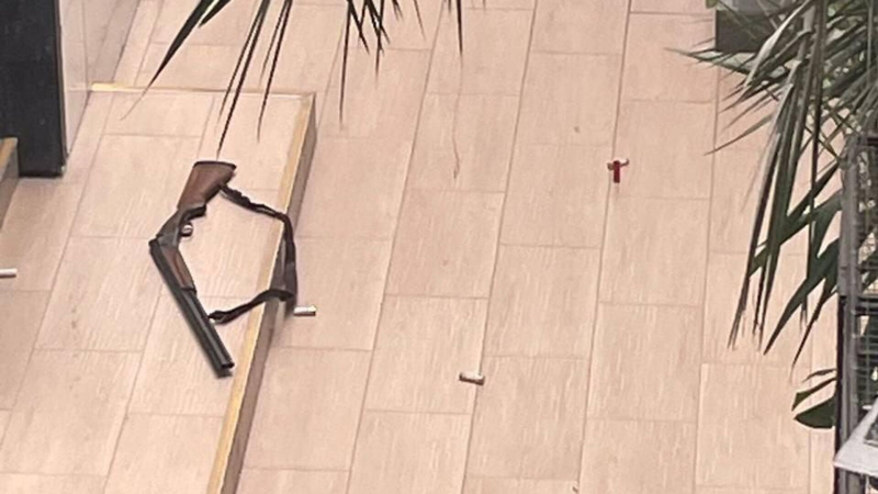 Полиция выясняет обстоятельства стрельбы в техникуме в Анапе